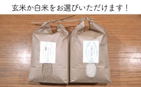 【全3回定期便】糸島産 ミルキークイーン 20kg 自然栽培 糸島市 / 大石ファーム [ATE038]