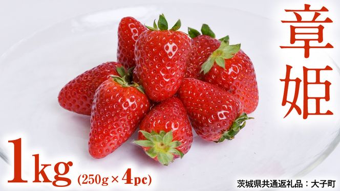 章姫 1kg (250g×4pc) 【 2026年12月上旬発送開始 】 ( 茨城県共通返礼品：大子町 ) いちご 苺 イチゴ 大粒 果汁 たっぷり ジューシー あきひめ 農家直送 産地直送 [FC209us]