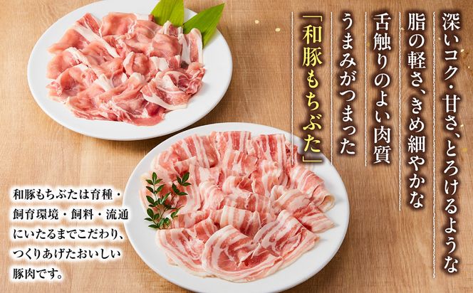 和豚もちぶたしゃぶしゃぶセット 合計800g（ロース バラ）ふるさと納税 【小分け 豚肉 ポーク 豚しゃぶ しゃぶしゃぶ肉 冷凍 和豚もちぶた こだわりの豚肉 おいしい豚 贈り物 贈答品 ご褒美 神奈川県 小田原市 】 142069_BX015