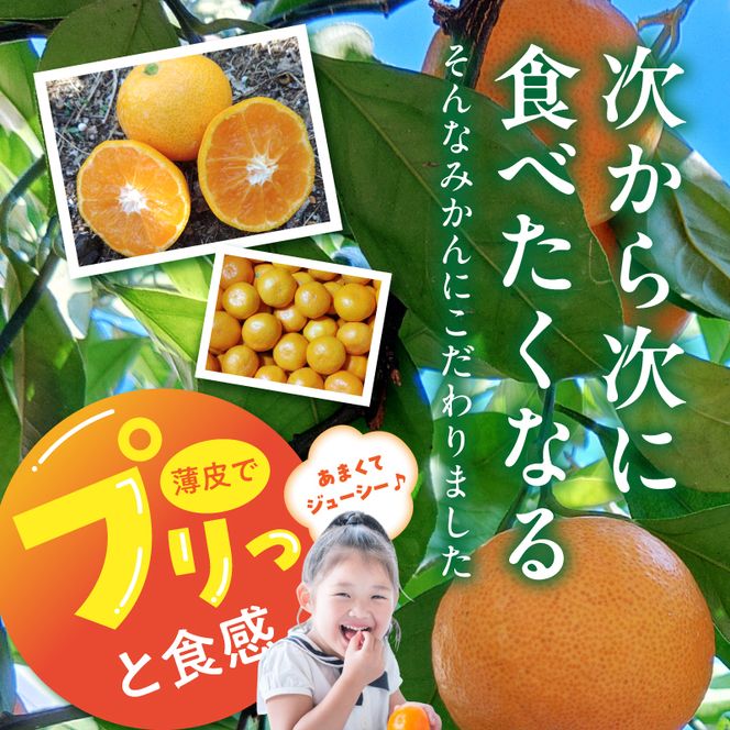 BK6018_【2026年先行予約】庄助みかん (家庭用・サイズ混合) 約3kg