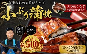 【数量限定】 【訳あり】 【ミシュラン星付きのプロが愛用】海水育ちの 天草 藍うなぎ 小ぶり 蒲焼 500g  養殖期間中 無投薬 鰻 ウナギ うなぎ うなぎ蒲焼 鰻の蒲焼 国産 【2026年6月下旬より順次発送予定】