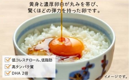 ★12回 定期便 ★ こだわり の 卵「天上卵」20個セット 《糸島》【おおはまファーム】 鶏卵 平飼い たまご 玉子 [AKH004]