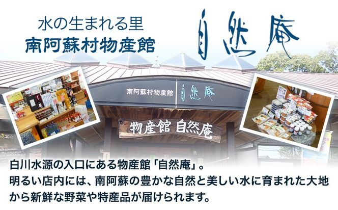 白川水源 ミネラルウォーター タンク式 選べる 10L×1ケース 10L×2ケース 20L×1ケース 定期便 もあり 3ヶ月 6ヶ月 12ヶ月（計6回）《出荷時期をお選びください》熊本県 南阿蘇村 物産館自然庵 水 ミネラルウォーター 飲料水 飲み水 南阿蘇---sms_sznmw_30d_r7_6500_1p---