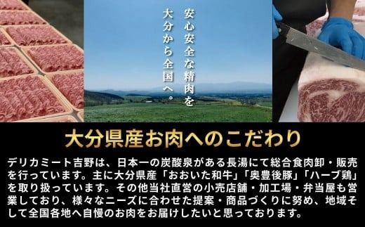 【レトルトカレー】肉屋のまかない豊後牛カレー 230g (5袋) | レトルトカレー レトルト和牛カレー れとるとかれー レトルトカレーセット カレー カレーライス カレーパン ライスカレー 大分県 国産 黒牛 和牛 牛肉 ビーフ パック ご当地カレー おかず 惣菜 簡単調理 湯煎調理 おおいた豊後牛 れとるとかれー 5食 [135959bt10]