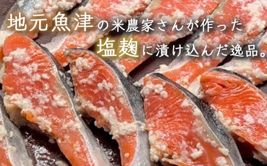 銀鮭塩麹漬け　10切入 ※北海道・沖縄・離島への配送不可
