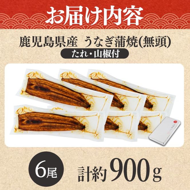 【0304349a-2607】＜土用の丑の日までにお届け＞東串良町のうなぎ蒲焼(無頭)(6尾・計約900g・タレ、山椒付) うなぎ 高級 ウナギ 鰻 国産 蒲焼 蒲焼き たれ 鹿児島 ふるさと 人気 丑の日 【アクアおおすみ】