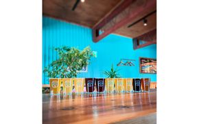 【ふるさと納税限定】TAPROOMでクラフトビール飲み放題！チケット 142069_HP005