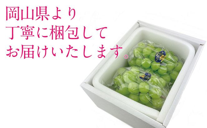 ぶどう 2026年 先行予約 シャイン マスカット 晴王 2房（合計約1.1kg） ブドウ 葡萄  岡山県産 国産 フルーツ 果物 ギフト 