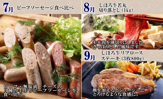 ■定期便■ 北海道 牛肉づくし 定期便 全11回 牛肉 サーロイン ステーキ リブロース 切り落とし ローストビーフ 肉 牛 赤身肉 国産牛 肉 ビーフ 牛肉 冷凍 お惣菜 焼肉 頒布会 送料無料 十勝 士幌町【X36】