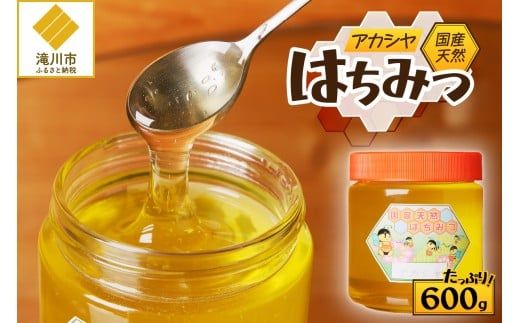 【北海道滝川産】高見養蜂場の純粋はちみつ(アカシヤ600g×1本)｜国産 日本製 天然 無添加 純粋 非加熱 生はちみつ ミツバチ ハニー 栄養 健康 美容 ビタミン ミネラル 抗生物質 プロポリス アミノ酸 濃厚 ギフト 贈答