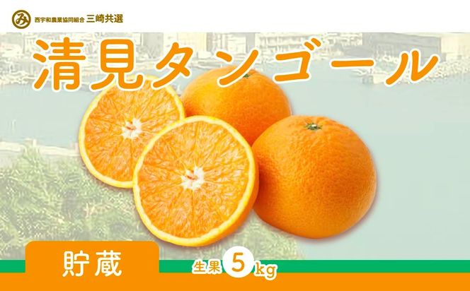 �y���Q���ɕ����z�y��s�\��z�����^���S�[���i�����E����5kg�j�������ւ̔z���s�i2026�N4�����{��菇�������\��j IKTBD007