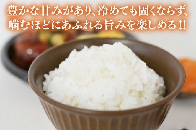 【全3回定期便】＜毎月＞ 山﨑観光農園のお米 とちぎの星 白米 5kg（合計 15kg）単一原料米 100% ｜栃木県 益子町 ふるさと納税 お米 米 白米 精米 5kg 3ヵ月 令和7年産 定期便（AU035）