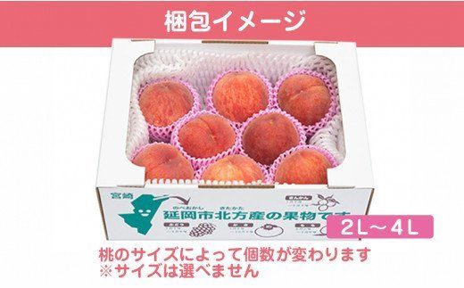【田口ﾌｧﾐﾘｰﾌｧｰﾑ】旬の桃 2L～4L(7～12玉)(2026年6月中旬発送開始) N053-YZA466