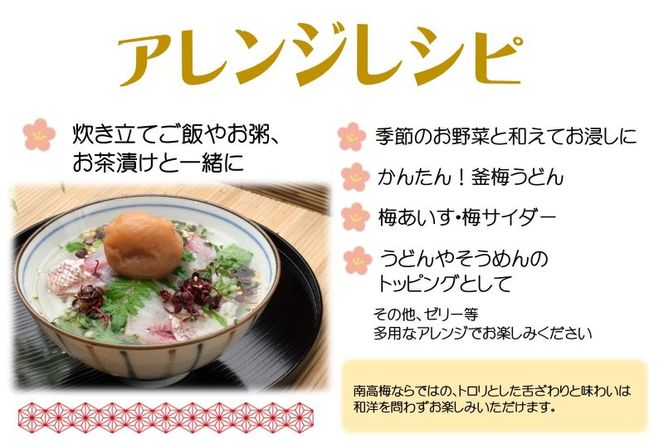 YD1006_紀州南高梅はちみつ極塩分約6％（850ｇ）