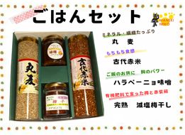 【一週間以内に発送】〈ギフト〉ごはんセット【アグリCATS】_HA1846