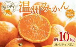 瀬戸内温州みかん（2L～Mサイズ混合）約10kg【2025-10月中旬～2026-1月下旬配送】 372013_T006-779J