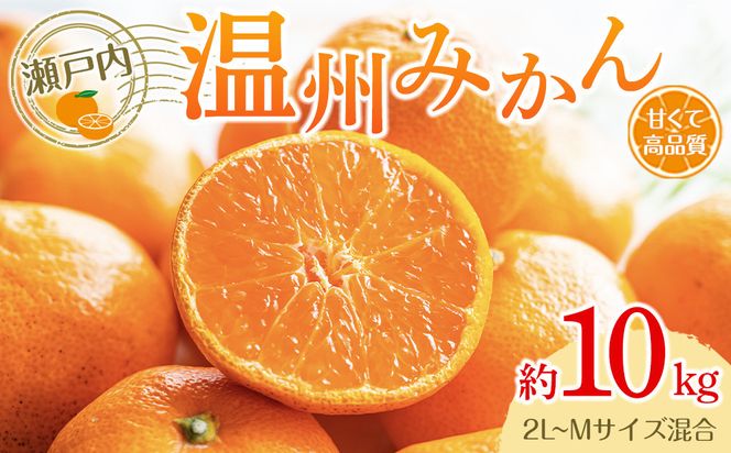 y쌧sz˓B݂i2L`MTCYj10kgy2025-10{`2026-1{zz 372013_T006-779J