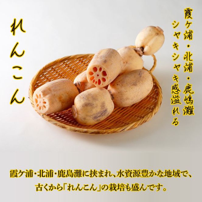 ～GI登録「さつまいも」使用～「行方かんしょとれんこんのカレー」＆「パックご飯」各2個セット｜カレー レトルト レトルトカレー パックご飯 ごはん レンジ コシヒカリ 非常食 ご当地 ご当地カレー 人気 オススメ 便利 特産品 地元特産品 茨城県 行方市(AE-145)