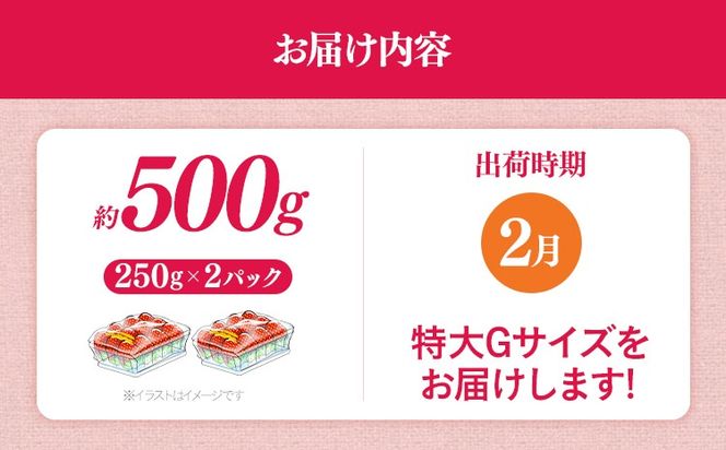 福岡県産 あまおう 500g （250g×2パック） いちご 2月中発送 いちご 苺 フルーツ 果物 くだもの 大粒Gサイズ グランデ 農家直送 大粒 不揃い 福岡県 福岡 九州 グルメ お取り寄せ