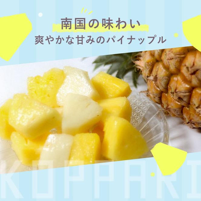 先行予約＜2026年6月より順次発送＞贅沢3種フローズンパイナップル 3パック【 沖縄県 石垣市 果物 パイナップル 冷凍 パイン フローズン 送料無料 】 EF-5