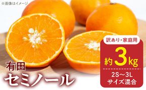 DZ6224_訳あり 家庭用 きよみ 清美オレンジ 和歌山 有田 2S～3Lサイズ混合 3kg