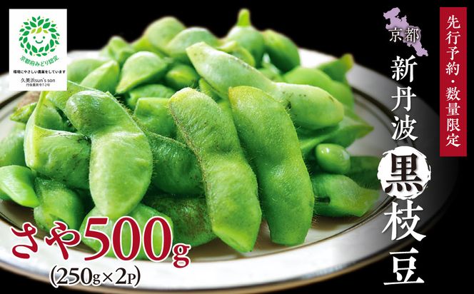 【先行予約／数量限定40】新丹波黒枝豆さや 500g（250g×2パック）（2026年10月中旬～発送） 野菜 黒豆 えだまめ 特産品 晩酌 おつまみ おかず 京都 ふるさと納税 枝豆　KU00074