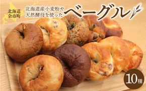 北海道産小麦使用！選べる楽しさ！ベーグル10種セット プレーン・チョコ・いちじく等 天然酵母_Y095-0012