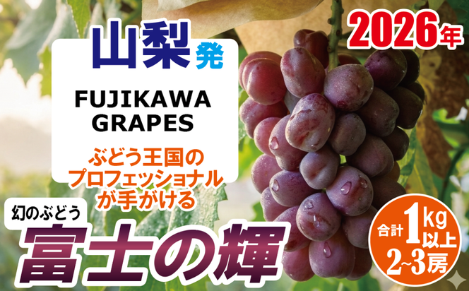 《超希少品種！》上級品をお得に　【富士の輝】　1.0kg以上（2～3房）　 【2026年発送分 先行予約】- FUJIKAWA GRAPES 