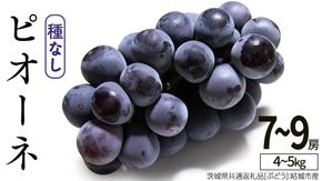 ピオーネ 7～9房 約4～5kg【2026年8月より発送開始】（茨城県共通返礼品 [ぶどう]：結城市産）田舎の頑固おやじが厳選！ ぶどう ブドウ 葡萄 種なし 大粒 高糖度 ギフト 甘い 美味しい フルーツ [BI287-NT]