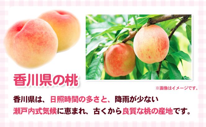 桃 讃岐の太陽育ち 5～10玉 1.8kg 旬の桃 もも モモ ピーチ フルーツ 果物 くだもの 果実 旬の果物 旬のフルーツ 香川 香川県 東かがわ市