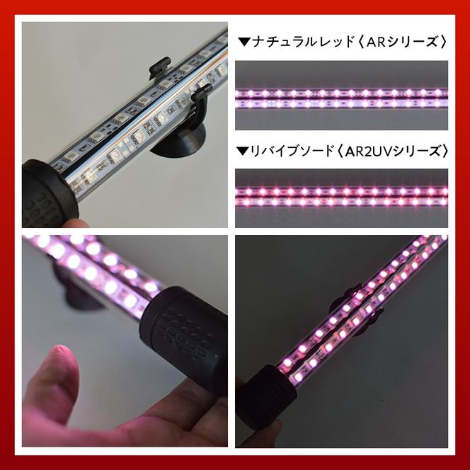 朱紫龍灯 リバイブソード EX LED 2列 UV 紅龍|AR2-90-UV-EX［172C14］朱紫龍 紅龍 水中 アロワナ 紫外線 UVチップ 照射 水槽ライト テンニングライト ライト 照明 水中照明 光 綺麗 強化ガラス 吸盤 1年保証 簡単 設置 でんらい インテリア 雑貨 愛知県 小牧市 送料無料