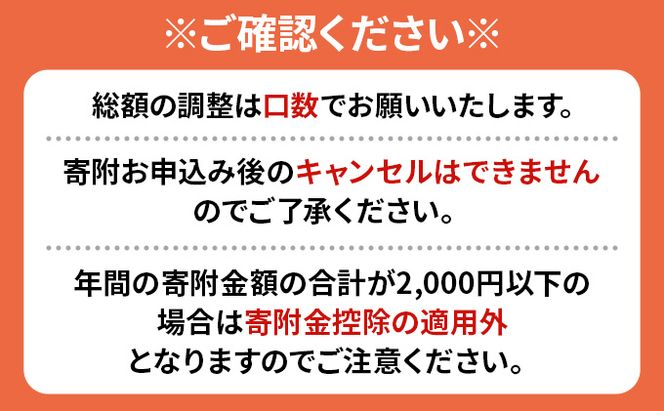 洞爺湖町 寄附のみの応援受付 1,000円コース（返礼品なし 寄附のみ 1000円） 支援 自治体支援 お礼の品なし 北海道 洞爺湖町の発展 ふるさと応援 ふるさと支援 