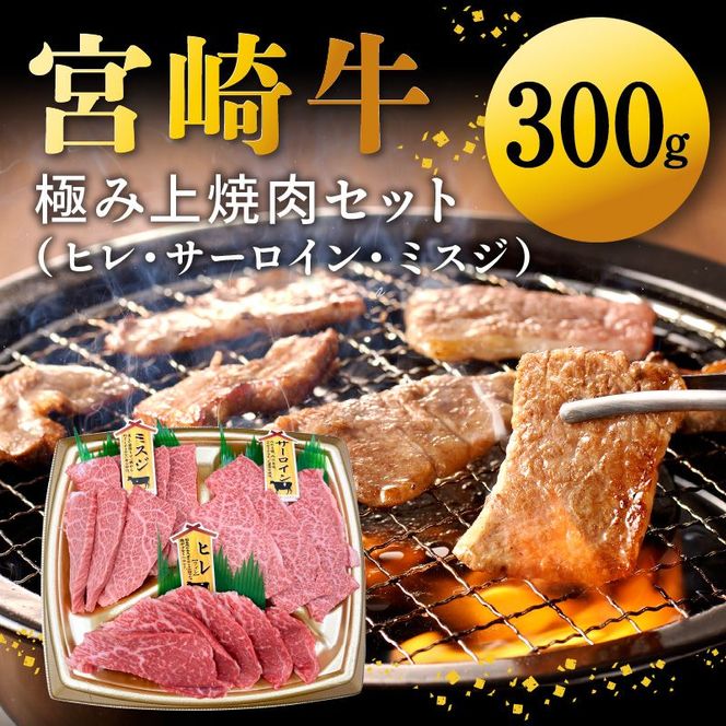宮崎牛極み上焼肉セット 合計 300g　N0140-YB086