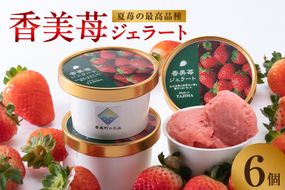 【いちごのジェラート 100g×6個】夏イチゴの最高級品種「ペチカほのか」を使用 アイス アイスクリーム スイート いちご 苺 兵庫県 香美町 村岡 スカイバレイ スキー場 ユースランド 18-01