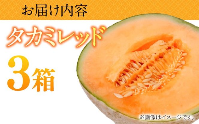 【2026年5月〜発送】タカミメロン レッド 3箱 （1箱 3～6玉）/ メロン めろん フルーツ 果物 / 南島原市 / 南島原果物屋[SCV033]