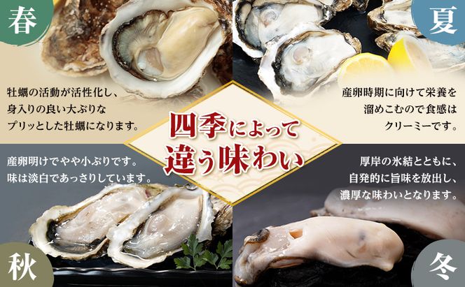 12月配送 訳あり ハーフ 規格外 牡蠣 北海道厚岸産 殻付カキ 約2kg（11～25個）カキナイフ付 生食 魚貝類 生牡蠣 かき 生カキ カキフライ マルえもん いびつな形 四季によって違う味わい コクがあり濃厚