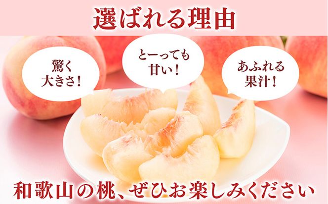 桃先行受付!　桃の王様【白鳳】　特秀品　食べきりやすい3個入り