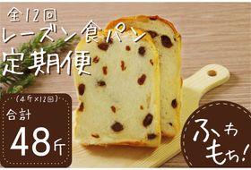 【室戸海洋深層水仕込み】レーズン食パン年１２回定期便 食パン ぱん 朝食 ギフト 定期便 人気 食事用パン おやつ レーズン ぶどう ドライフルーツ４斤×１２回