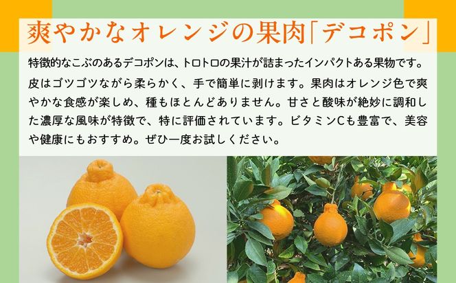 【先行予約】【数量限定】JAにしうわ みつる共選 デコポン 約5kg（化粧箱）※離島への配送不可（2026年2月中旬より順次発送予定） IKTBC008