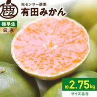 《2026年9月下旬～11月中旬頃に順次発送》【2026年先行予約】厳選 極早生有田みかん約2.5kg+250g（傷み補償分）ゆら早生みかん【YN26・ゆら早生】【光センサー選果】_ZH7039