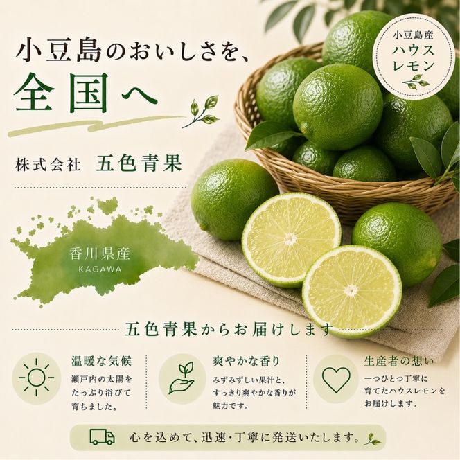 【 小豆島 】小豆島ハウスレモン 約2kg 果物類 フルーツ 柑橘類 檸檬 