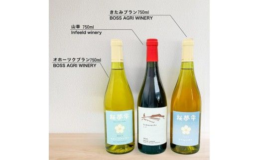 《7営業日以内に発送》北見産ワイン 飲み比べ3本セット（山幸×きたみブラン×オホーツクブラン） ( ワイン 赤ワイン 白ワイン 熟成白ワイン セット 飲み比べ 山幸 きたみブラン オホーツクブラン ギフト 贈り物 )【186-0014】
