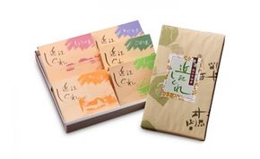 近江しぐれ　５種【500ｇ（100ｇ×5種類）】【N011W】（滋賀県　近江八幡市）
