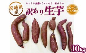 【訳あり】生芋10kg　SSサイズ～2Lサイズ（サイズバラ）　※離島への配送不可　※2024年11月下旬～2025年9月下旬頃に順次発送予定