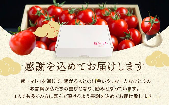 出雲の國からの贈り物～超トマト３ｋｇ＆超トマトジュース２本 322032_AT004