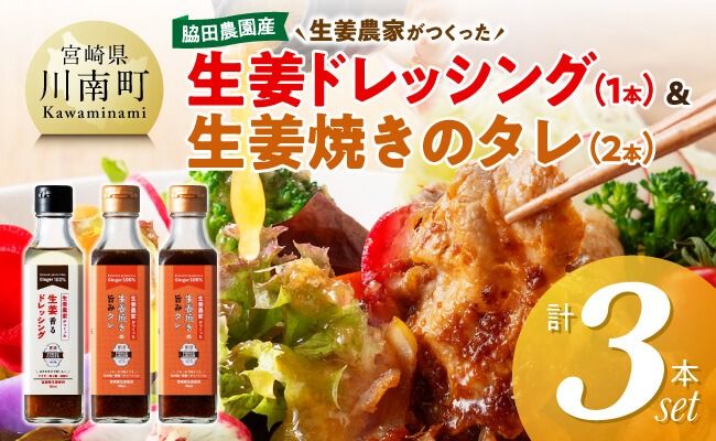 脇田農園産 生姜農家が作った生姜ドレッシング1本&生姜焼きのタレ2本 計3本セット [ 生姜 ショウガ 国産 宮崎県産 九州産 川南町産 農家直送 しょうが 生姜焼きのたれ ドレッシング ] [C07004]