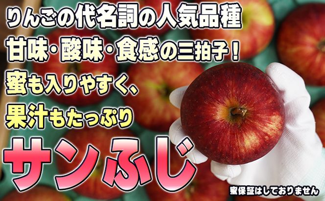 2月発送【 糖度保証 】家庭用 葉取らず サンふじ 約 3kg【 訳あり 】鶴翔りんごGAP部会 青森県産 津軽産 リンゴ 林檎 果物 フルーツ デザート 甘味