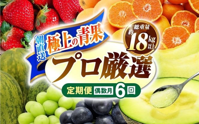 【年6回 偶数月コース】果物屋が選ぶ旬のフルーツ定期便 ハウスびわ メロン ぶどう (巨峰) みかん など / 南島原市 / 贅沢宝庫 [SDZ022]