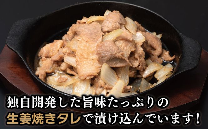 005A645 【特別規格】生姜焼き用 栗豚 切り落とし 900g【たれ漬け 小分け 300g×3P 豚肉 スライス 焼くだけ】