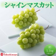 2027年 早期受付【高島屋選定品】シャインマスカット 約1.1kg（2房合計）岡山県高梁市産 個装箱入り 葡萄 ブドウ 贈り物